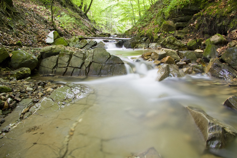 Pilgrimages in Neamt County: from Sihastria Monastery to Sihla