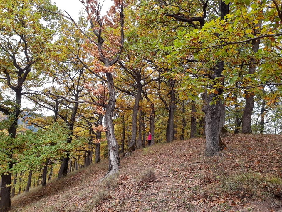 Ecotourism’s Development in Neamț County – fotografia 11