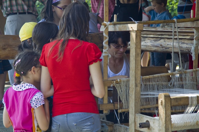 Summer School, Piatra Neamt 2010