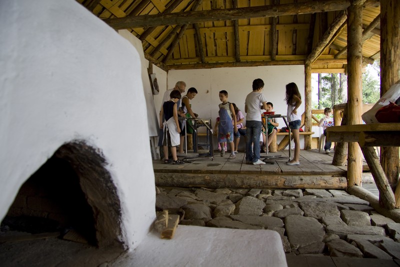 Summer School, Piatra Neamt 2010