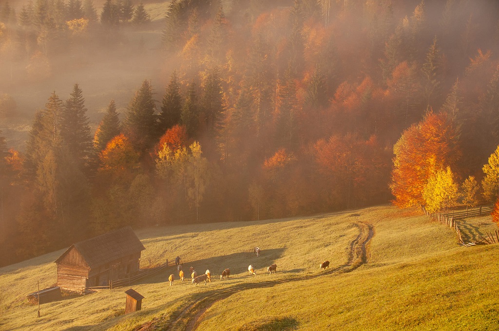Autumn splendour in Bicaz Gorges and Bicăjel Valley – fotografia 11