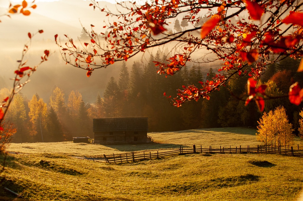 Autumn splendour in Bicaz Gorges and Bicăjel Valley – fotografia 12