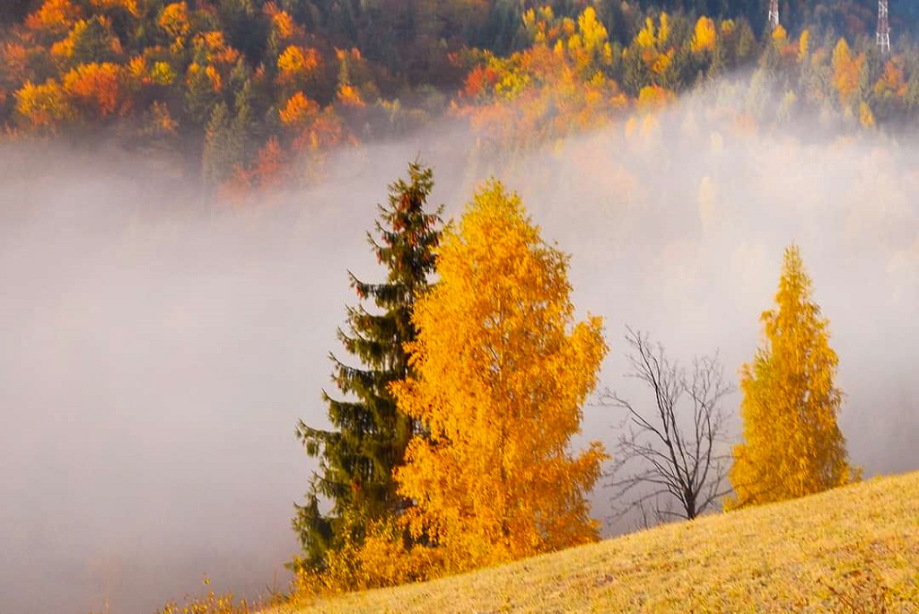 Autumn splendour in Bicaz Gorges and Bicăjel Valley – fotografia 13