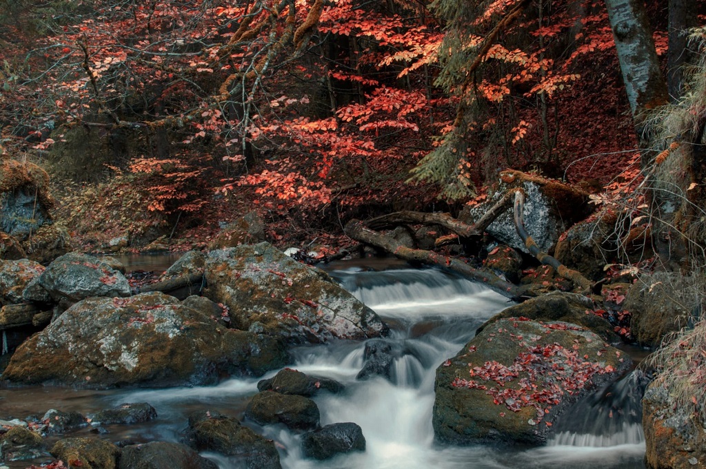 Autumn splendour in Bicaz Gorges and Bicăjel Valley – fotografia 4