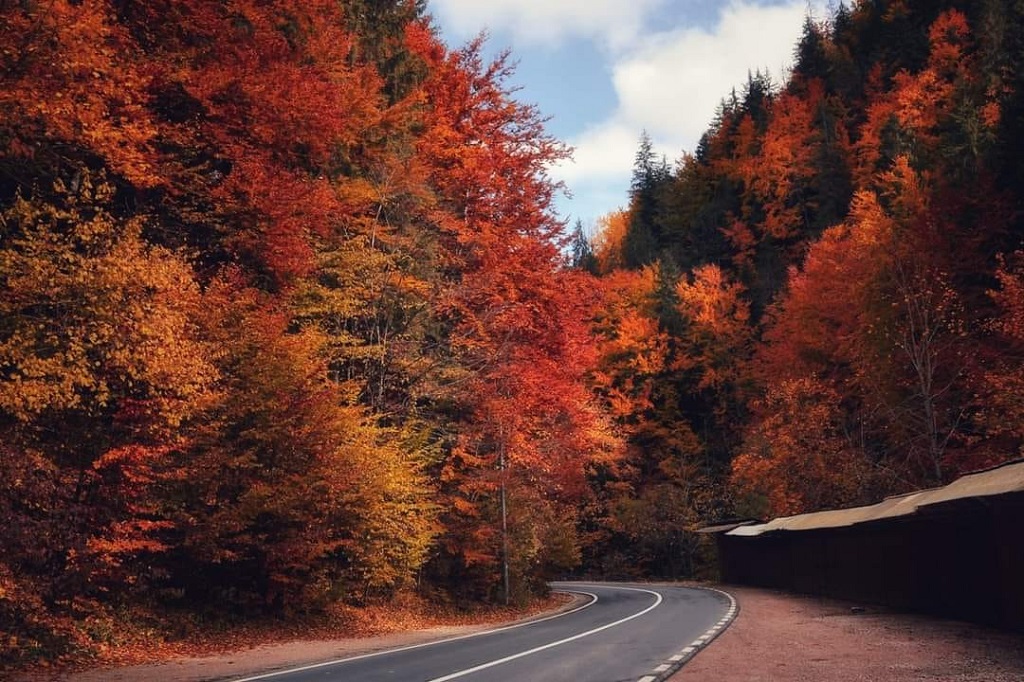 Autumn splendour in Bicaz Gorges and Bicăjel Valley – fotografia 5