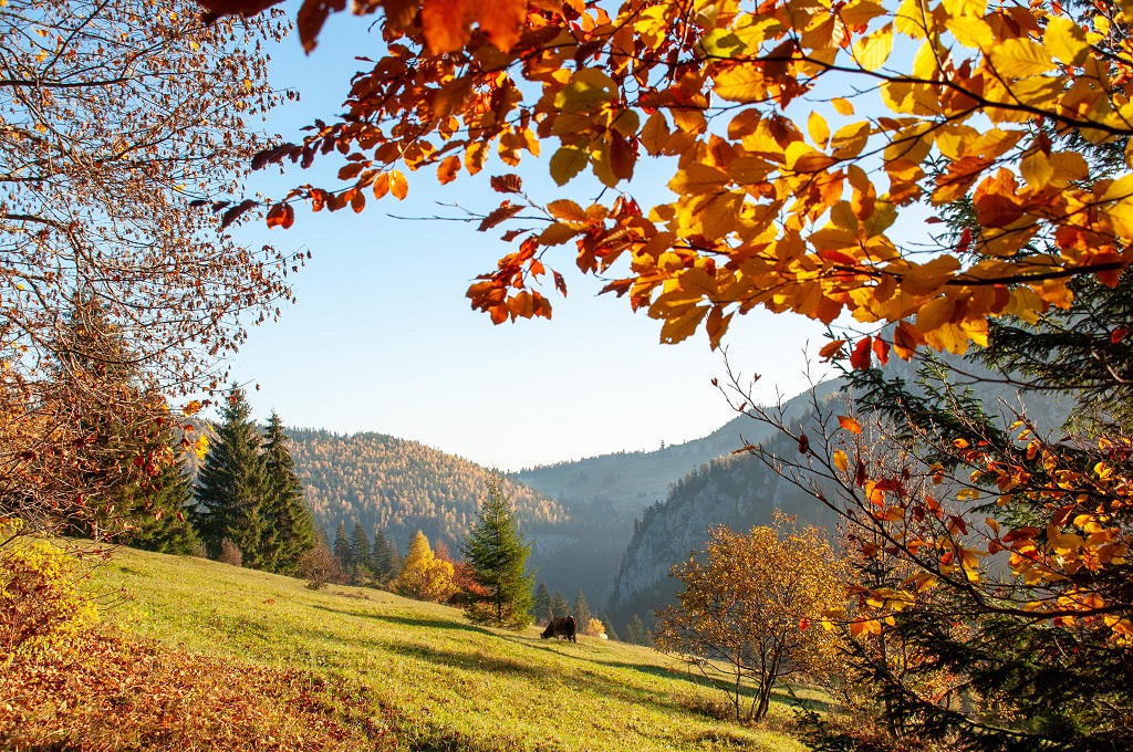 Autumn splendour in Bicaz Gorges and Bicăjel Valley – fotografia 16
