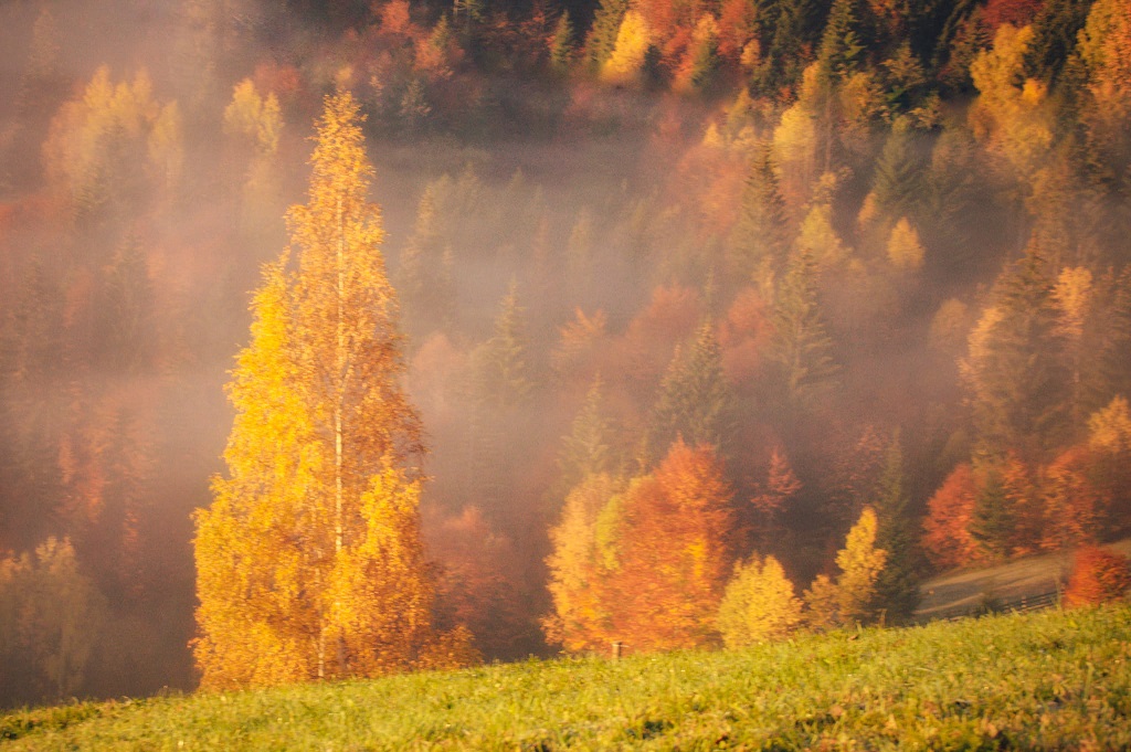 Autumn splendour in Bicaz Gorges and Bicăjel Valley – fotografia 17