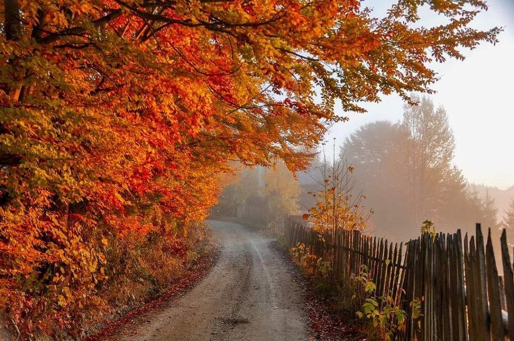 Autumn splendour in Bicaz Gorges and Bicăjel Valley – fotografia 18