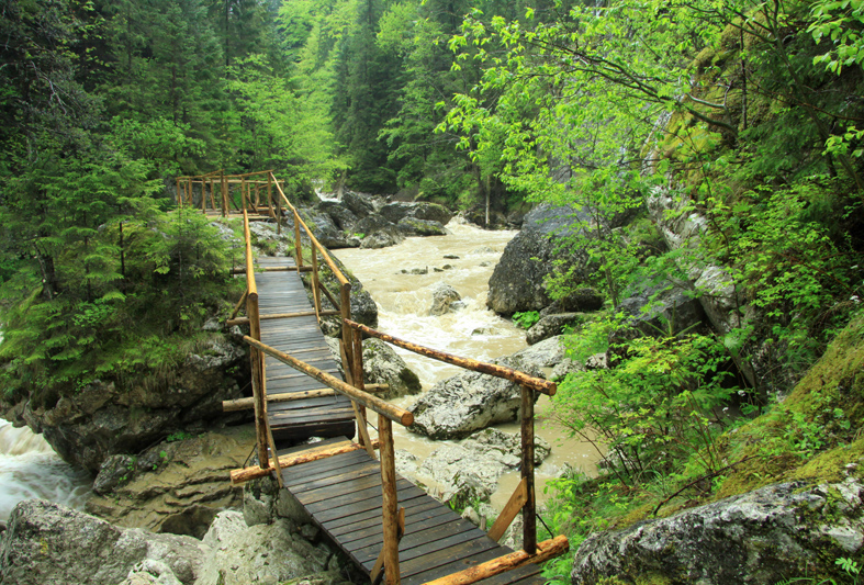 Come and enjoy 5 unforgettable days in Neamt County! – photo 17