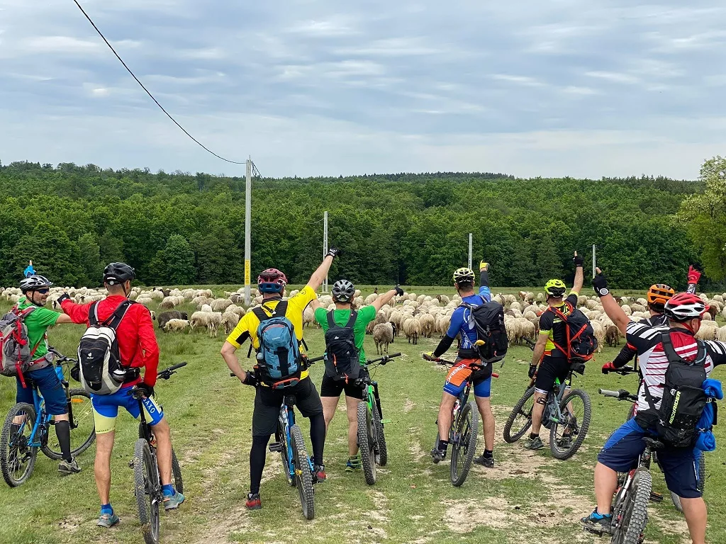 Come and enjoy 5 unforgettable days in Neamt County! – photo 43