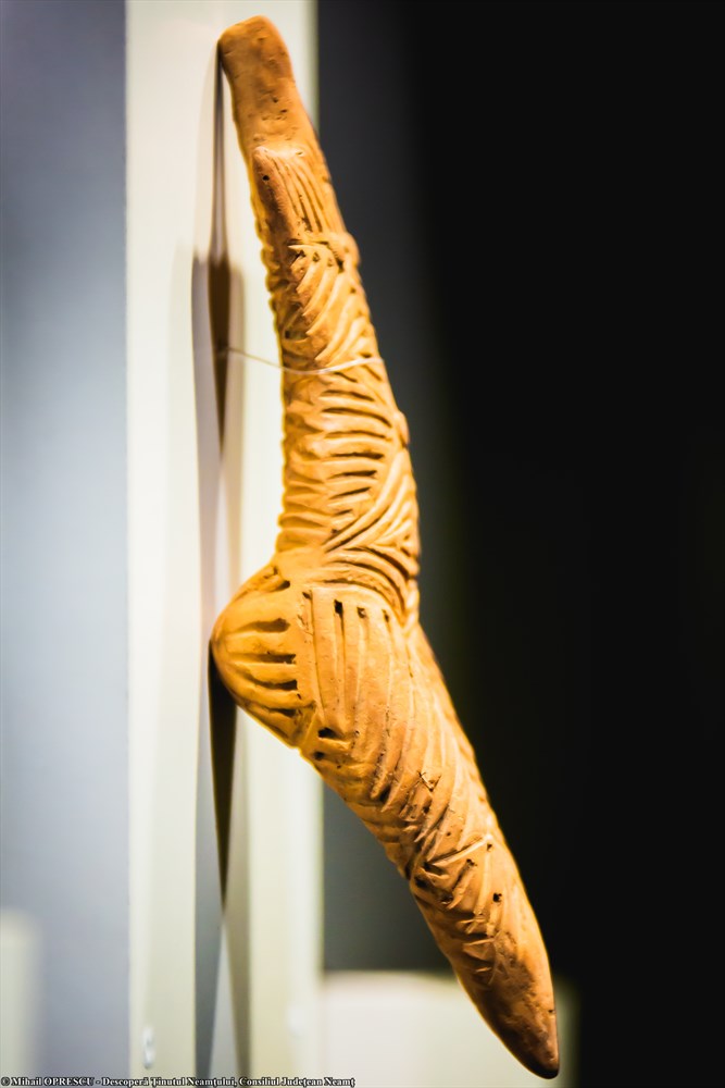 Discover, in Piatra Neamț, the most important Eneolitic art collection from the South-East of Europe – fotografia 7