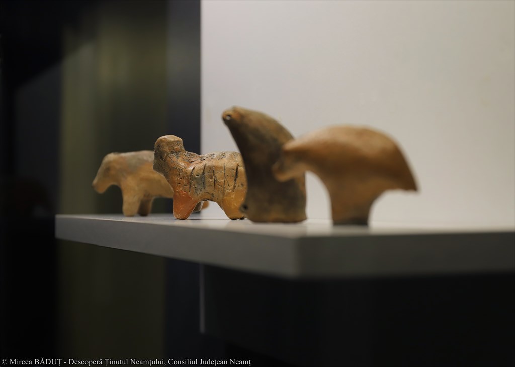 Discover, in Piatra Neamț, the most important Eneolitic art collection from the South-East of Europe – fotografia 28