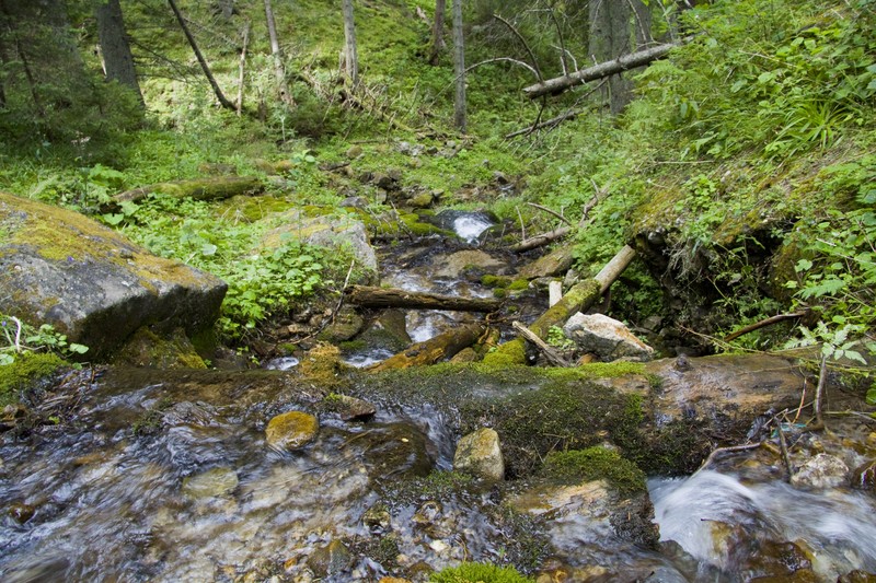 Ceahlau Routes: Duruitoarea Waterfall