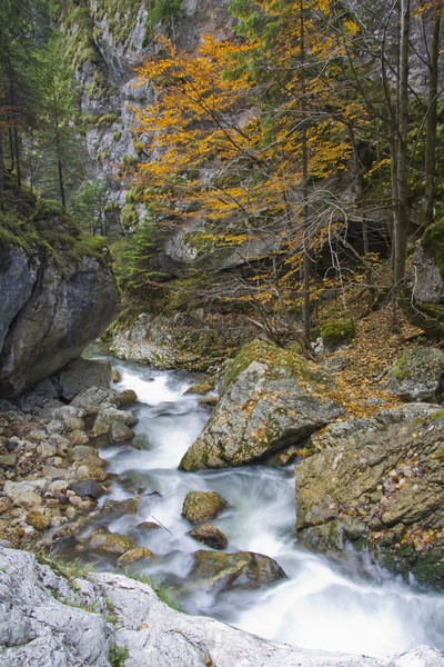 Cheile Bicazului