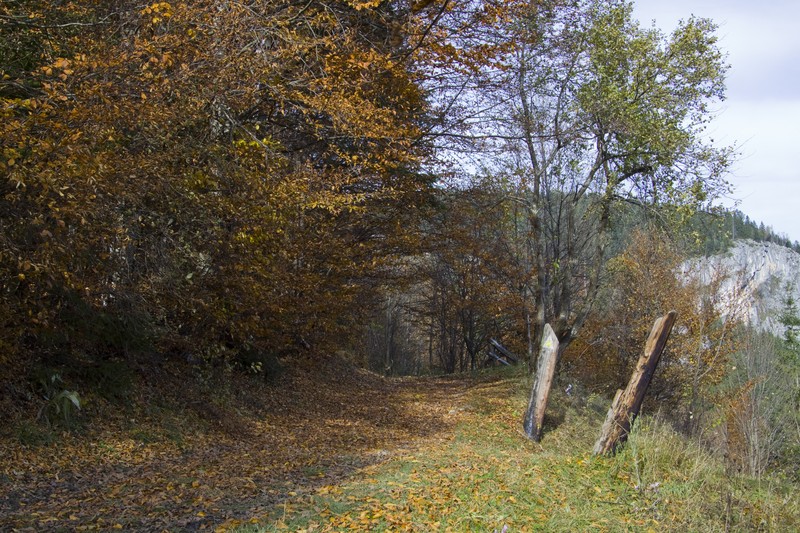 Cheile Bicazului