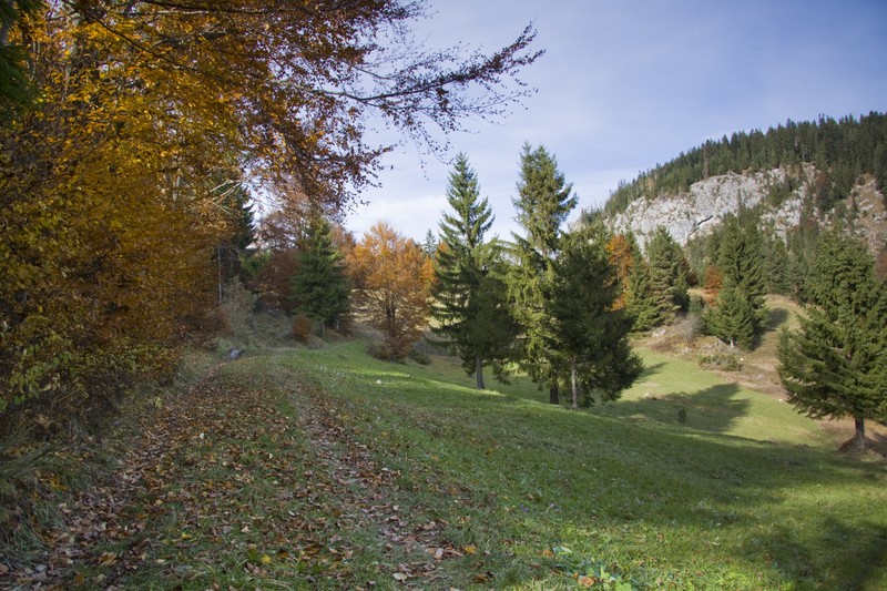 Cheile Bicazului
