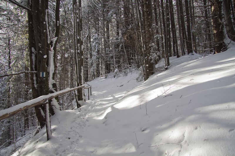 Winter pictures from Ceahlau Mountain