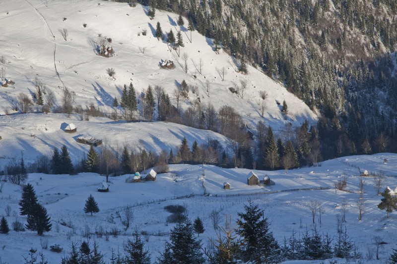 Route in Cheile Bicazului