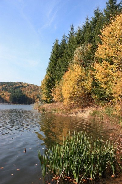 Romanian Tourism - Lake Cuiejdel
