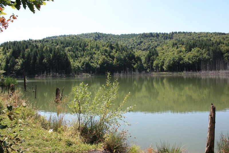 Romanian Tourism - Lake Cuiejdel