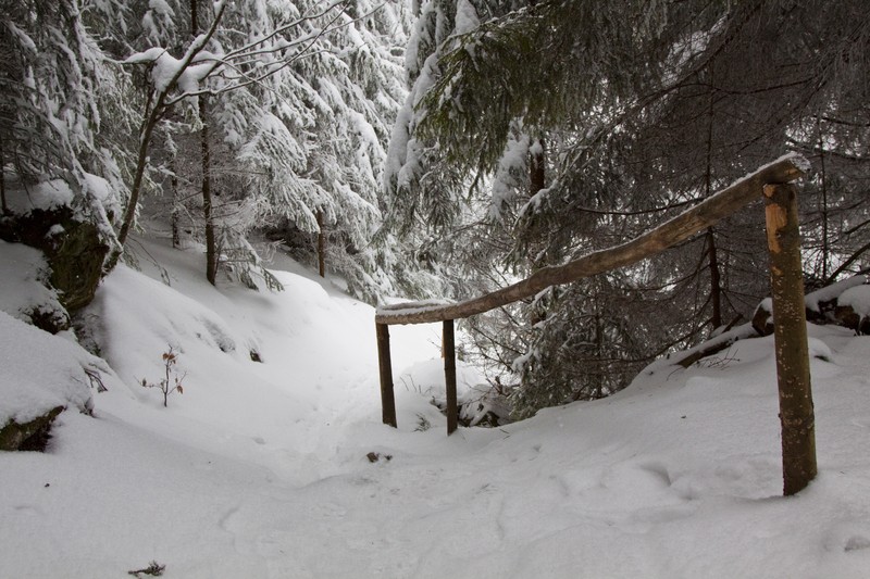 Daniil Sihastrul Hermitage