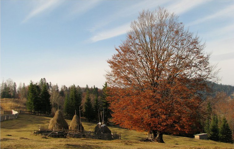 Romanian Tourism - Durau Resort