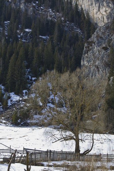 Cheile Bicazului Touristic Route