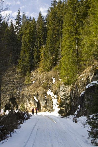 Cheile Bicazului Touristic Route