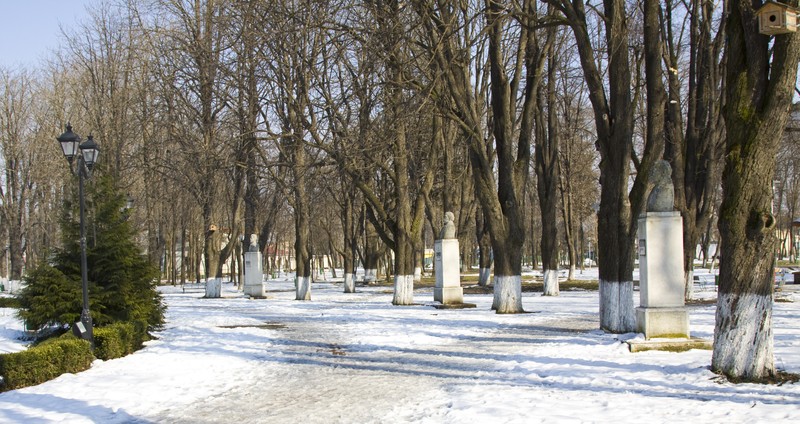 The Town of Roman