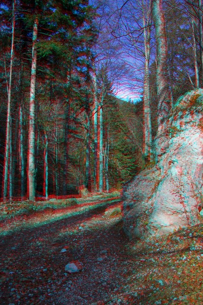 3D Images from Ceahlau Mountain