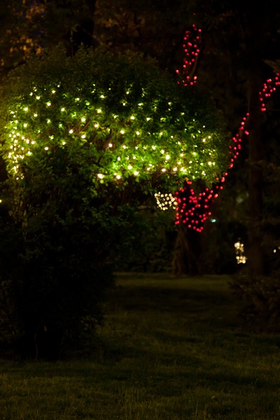 Easter lights in Piatra Neamt 2011