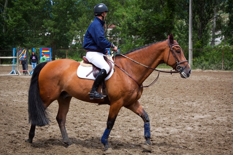 Piatra Neamt Cup 2011