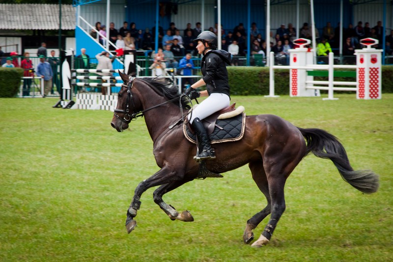 Piatra Neamt Cup 2011