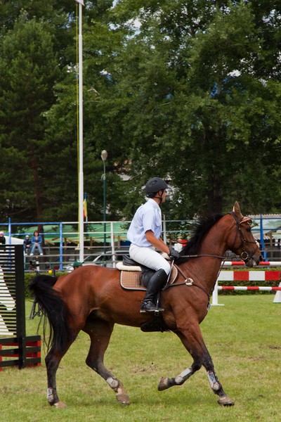Piatra Neamt Cup 2011