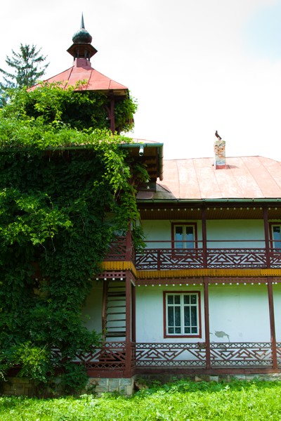 Tazlau area