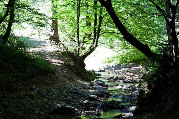 Schitul Lipovenesc Hermitage