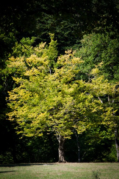 Schitul Lipovenesc Hermitage