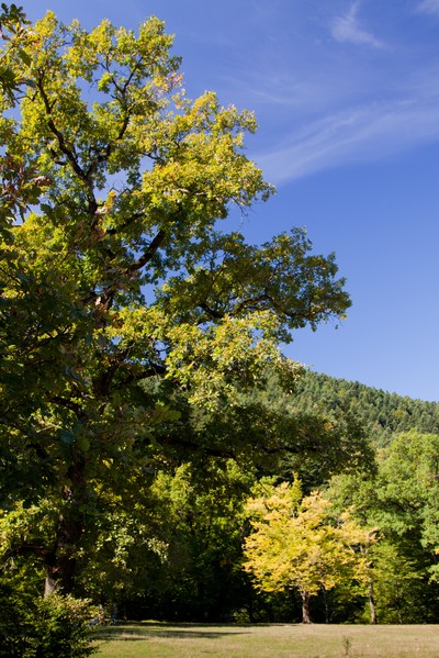 Schitul Lipovenesc Hermitage