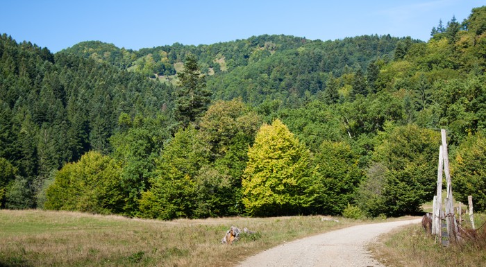 Schitul Lipovenesc Hermitage