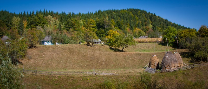 The road from Cracaul Negru to Cuejdel Lake