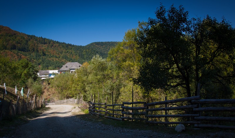The road from Cracaul Negru to Cuejdel Lake