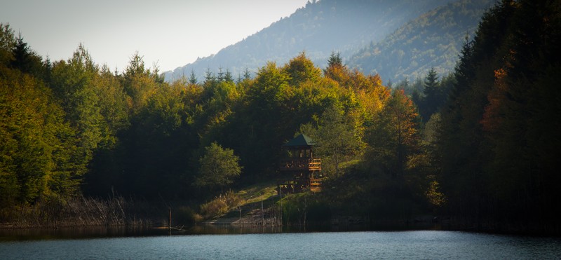 The road from Cracaul Negru to Cuejdel Lake