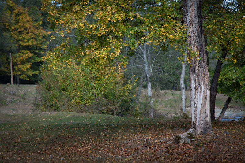 Autumn toward Secu and Sihastria 2011