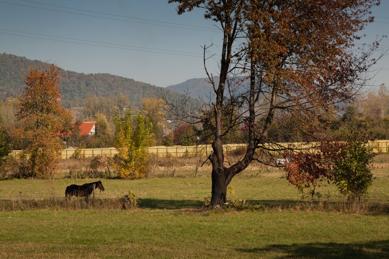 Autumn toward Bicaz 2011