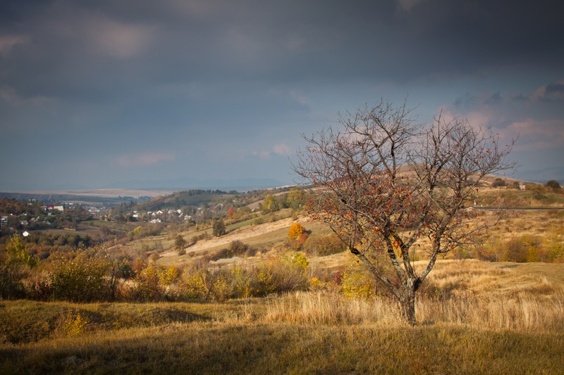 Autumn toward Agapia 2011