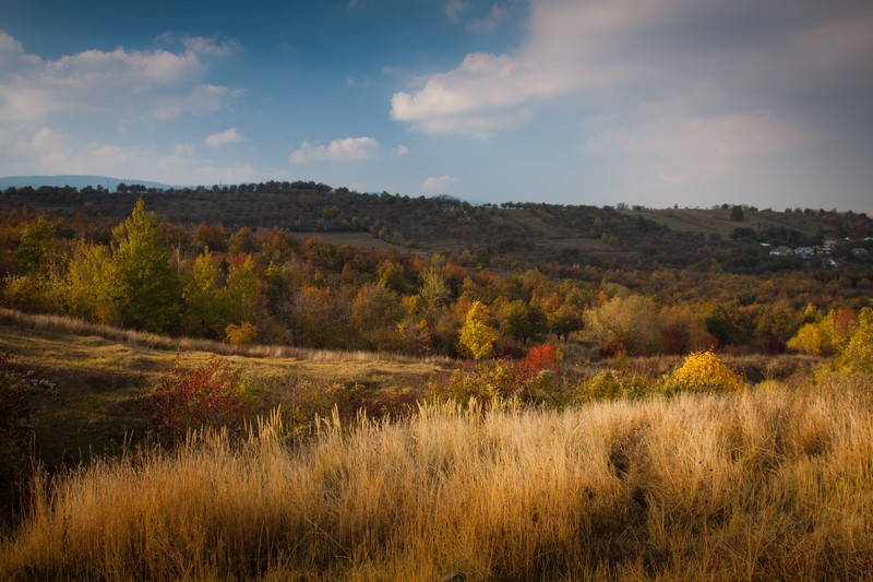 Autumn toward Agapia 2011