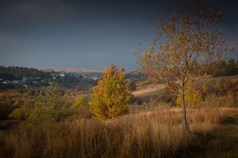 Autumn toward Agapia 2011