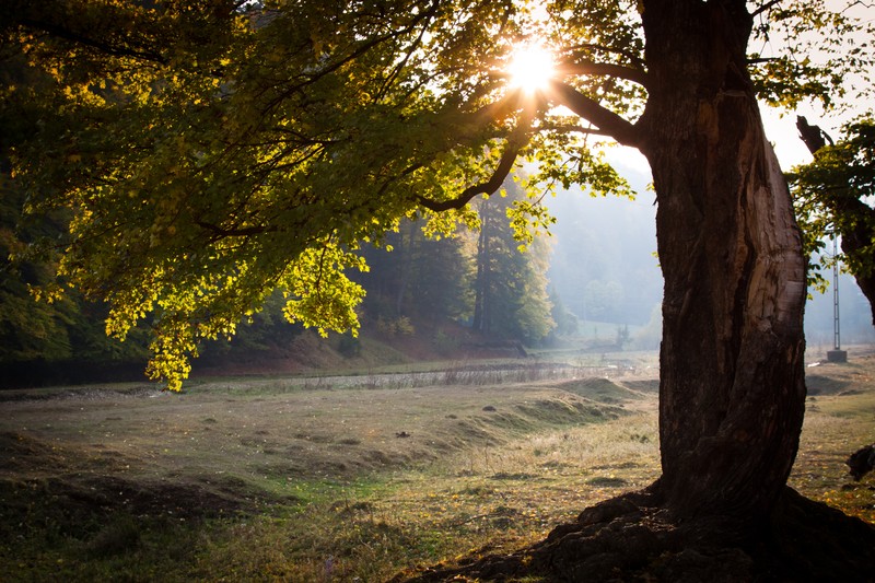 Autumn toward Agapia 2011