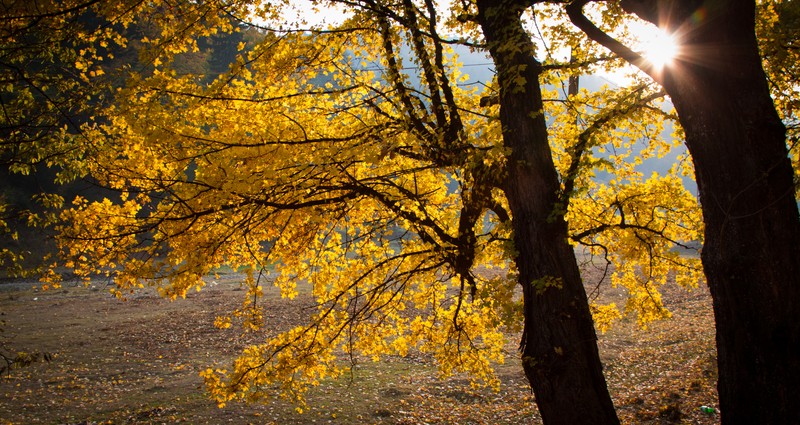 Autumn toward Agapia 2011