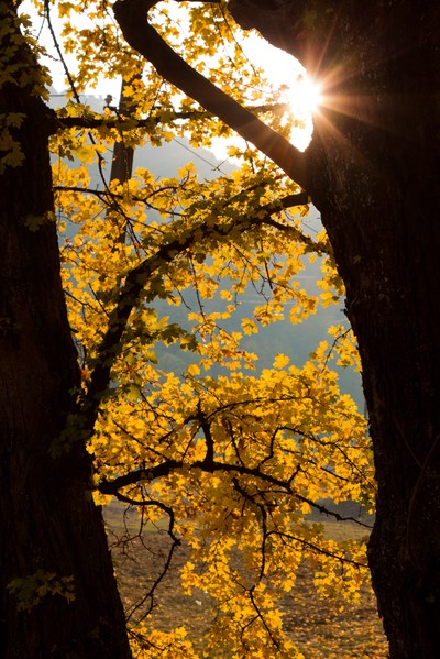 Autumn toward Agapia 2011